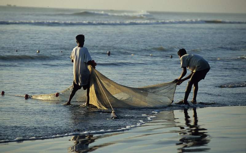 Мавритания на пороге рыбного кризиса 