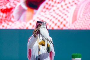 Самый дорогой сокол «улетел с молотка» в Саудовской Аравии 
