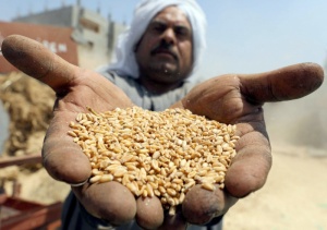 Египетско-российское партнерство по созданию логистической зоны для хранения и торговли зерном