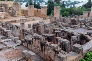 Тунис хочет добавить два археологических объекта в список ЮНЕСКО