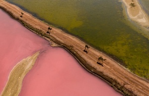 Розовые озера – уникальное и живописное природное достояние Омана