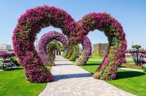 45 миллионов цветов распустилось в «чудо-саду» Дубая