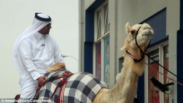 Путешествие по-йеменски… 38 стран на горбу верблюда 